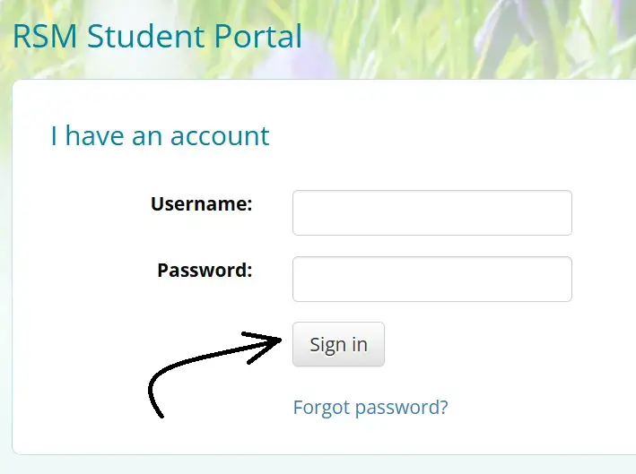 RSM Portal login