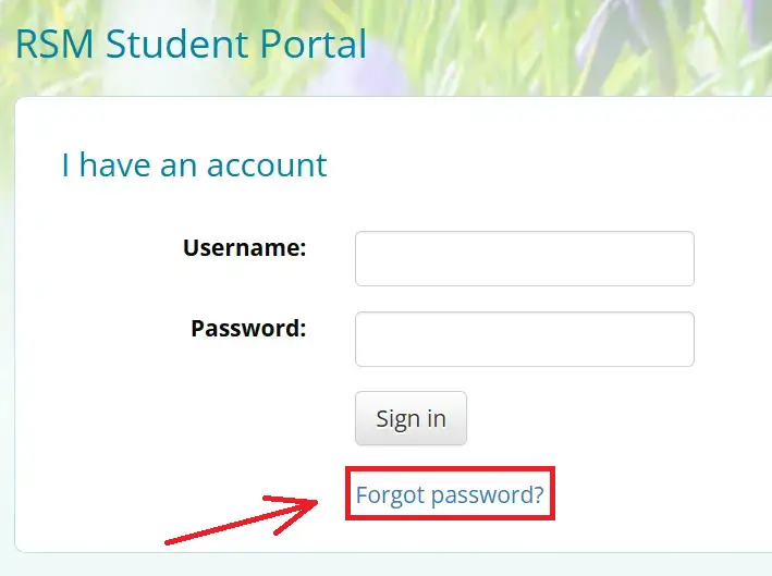 Select the Forgot Password Option
